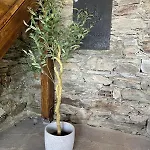 Дом отдыха Rustico Diana Mit Garten Und Seeblick *