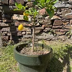 Rustico Diana Mit Garten Und Seeblick Σπίτι διακοπών *