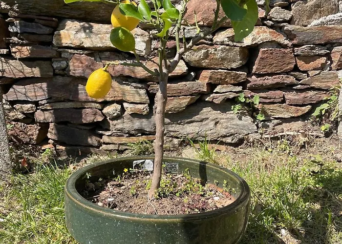 Rustico Diana Mit Garten Und Seeblick Semesterbostad *